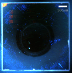 Lab exchange grant: Exploring Quantum Many Body dynamics using dense ensembles of NVs in diamond